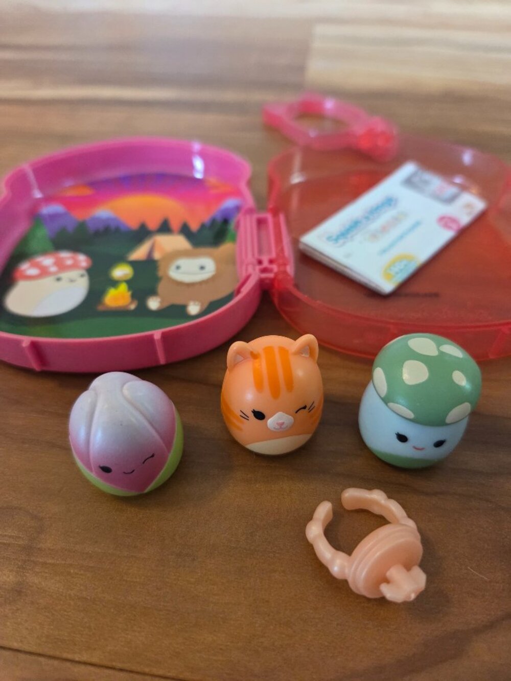 Squish-a-longs by Squishmallows 3 Pack with Pink and Green Mushroom Case